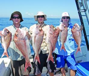 Six snapper caught by the boys on an offshore expedition.